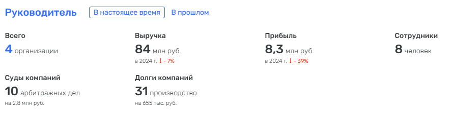 Статистика компаний руководителя на Rusprofile